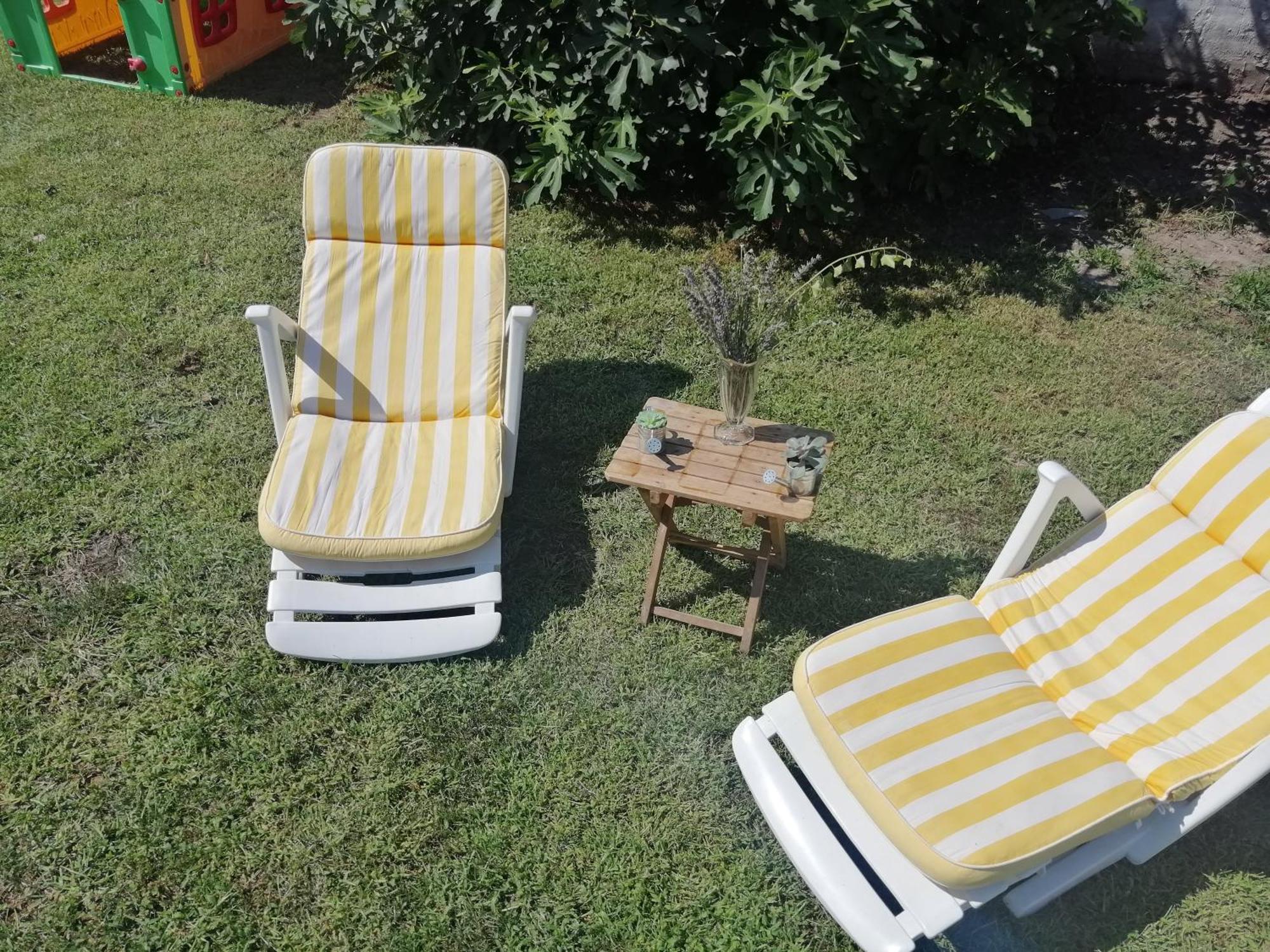 Nest Zen Garden Apartment Novi Sad Bagian luar foto